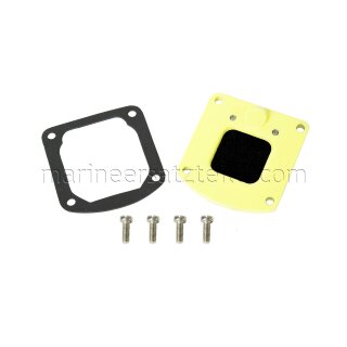 Whale AS3723 Outlet Valve Plate Assembly for Gusher 10