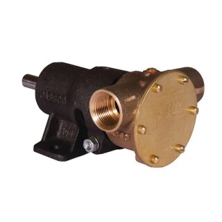 Jabsco 10550-205 Bronze Pump, foot-mounted, BG 040, 19mm (3/4") BSP threaded ports, NEO, 1/2 C