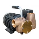 Jabsco 53081-2063-230 Utility Marine pompe à impulseur auto-amorçante 230V/1/50, 80 LPM, 1-1/2" BSP, NIT