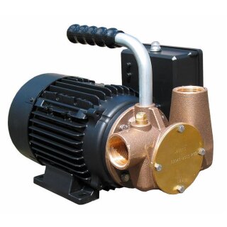Jabsco 53041-2003-230 Utility pompe à impulseur auto-amorçante 230V/1/50, 33 LPM, 1" BSP, NIT
