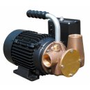 Jabsco 53041-2003-230 Utility pompa a girante autoadescante 230V/1/50, 33 LPM, 1" BSP, NIT