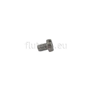 Jabsco X3004-174F Slotted cylinder head screw M6 x 8mm, Stainless Steel