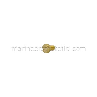 SPX Johnson Pump 0.0279.033 Slotted cylinder head screw ISO1207, M5 x 8, brass (05-04-174)