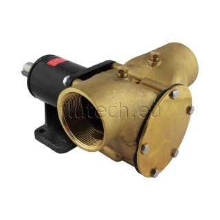 SPX Johnson Pump 10-13026-1 Impeller pump F9B-3000 pedestal mounted, 2" BSP, 1/1, NEO