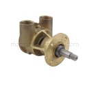 SPX Johnson Pump 10-24184-1 Bronze Impeller Pump F5B-9, flange-mounted, R 3/8" BSP, 1/1, MC97