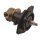 Jabsco 10950-2401 Pompe en Bronze, fixation à Bride, BG 040, raccord cannelé de 19mm (3/4") BSP, Néoprène