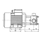 SPX Johnson Pump FIP25B-BSP00M01F80 FIP25 Pumpe 0,75KW 1400RPM Flange