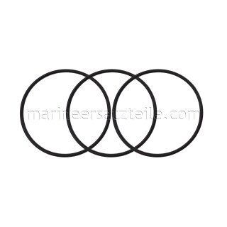 Jabsco 18753-0261 O-Ring Nitrile 2.4 X 59.6 (3 pezzi)