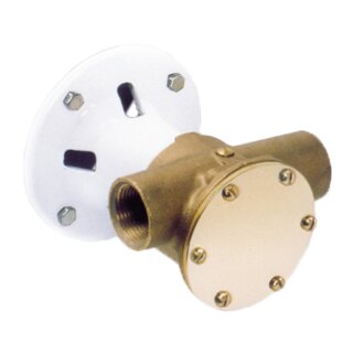 Jabsco 22860-2003 Bronze Impeller Pump, Pump Head with flange adapter, size 040, 3/4" BSP, 1/1, NIT